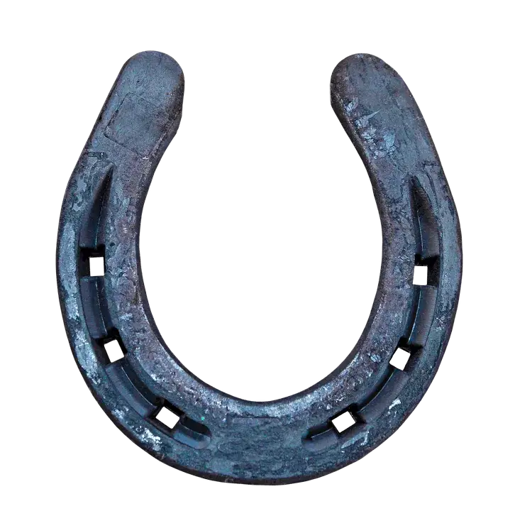 Zdjęcie Czy podkowa naprawdę przynosi szczęście? Poznaj sekrety tego talizmanu!