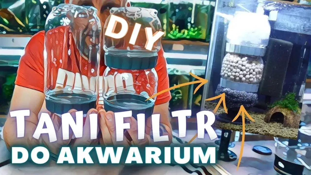 Zdjęcie Jak zrobić filtr biologiczny do akwarium - uniknij najczęstszych błędów
