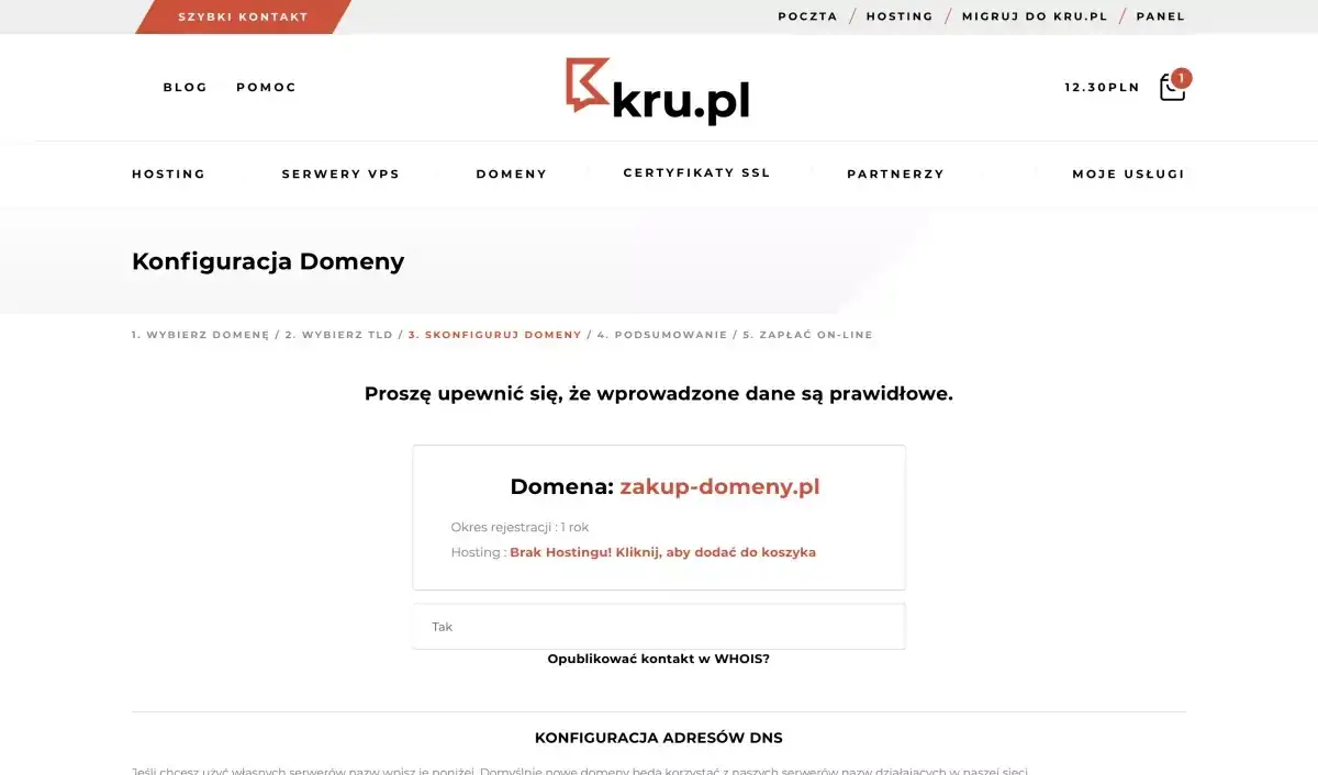 Proces rejestracji domeny krok po kroku