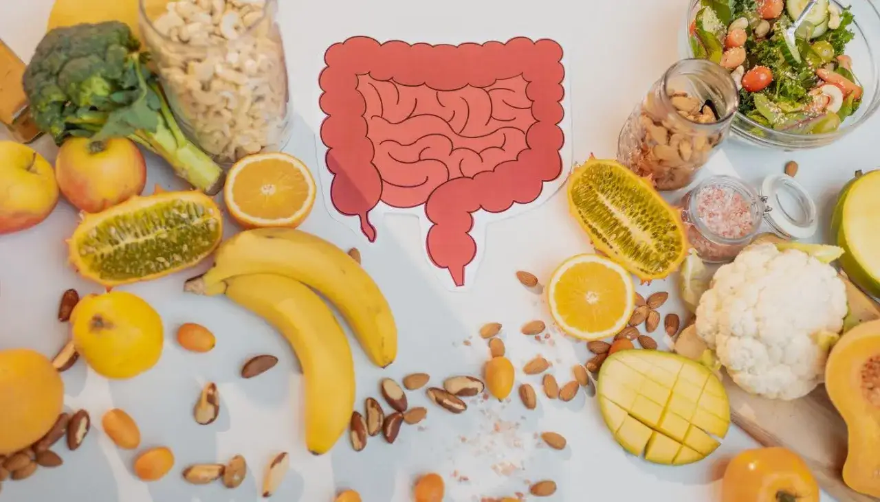 Owoce, warzywa i orzechy wspierające dietę lekkostrawną. Ilustracja jelit podkreśla znaczenie zdrowego odżywiania dla układu pokarmowego.