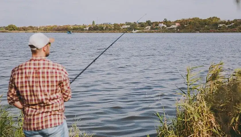 miejsca żerowania płoci w rzece i jeziorze