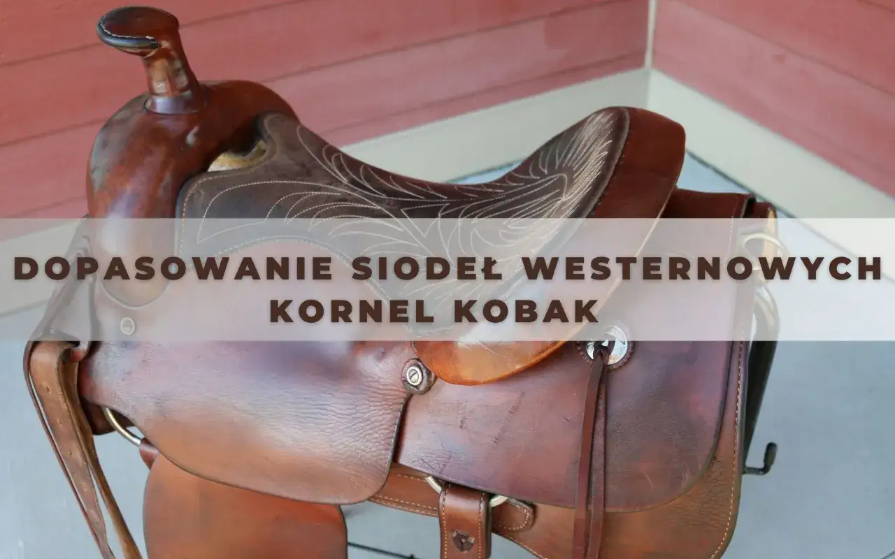 Skórzane siodło westernowe, czyli siedzisko na grzbiecie konia, z ozdobnymi przeszyciami.