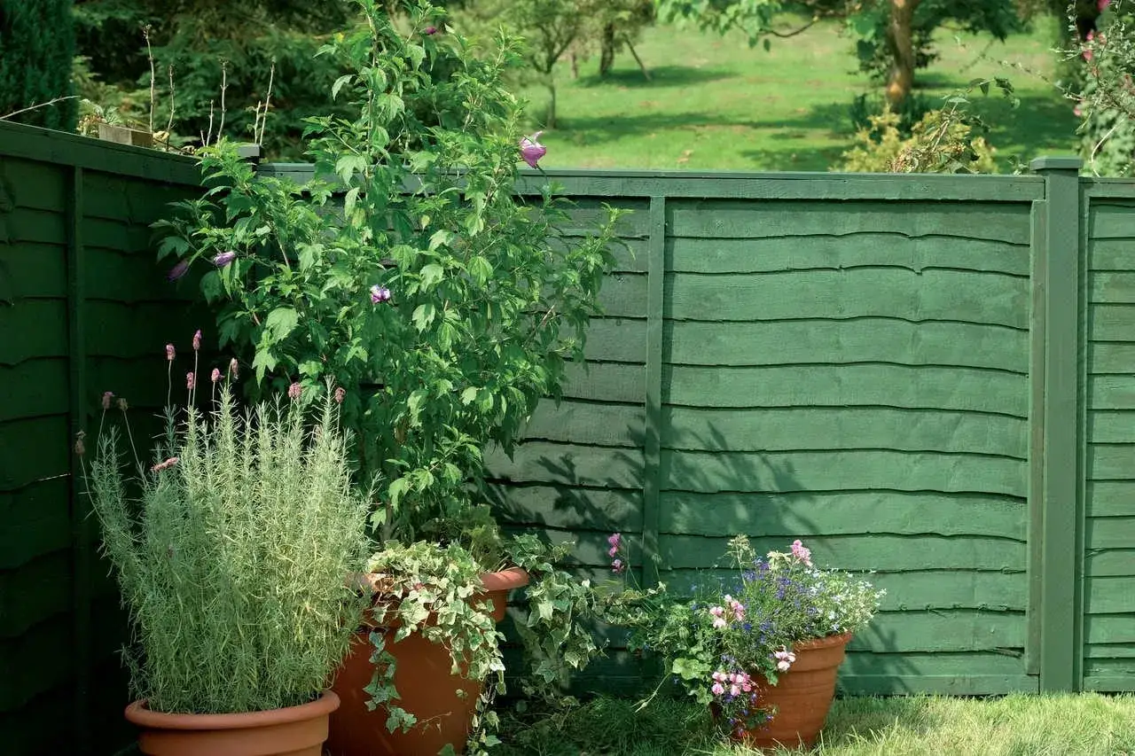 Przygotowanie starego drewnianego płotu do malowania