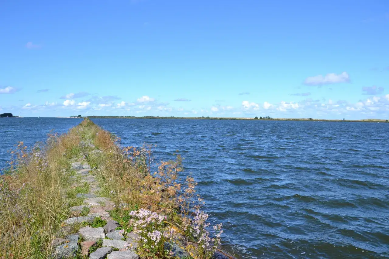 Rezerwat Ptasi Raj Wyspa Sobieszewska