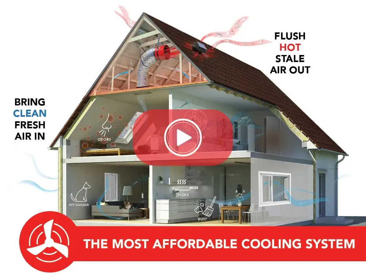 Wietrzenie mieszkania: system usuwa zapachy, kurz, dym i sierść zwierząt, wprowadzając świeże powietrze.