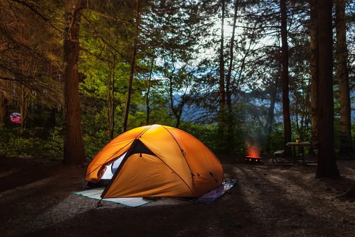 Pomarańczowy namiot rozświetla leśną polanę. Obok pali się ognisko, a w oddali widać stolik piknikowy. Idealne miejsce, gdzie pod namiot.