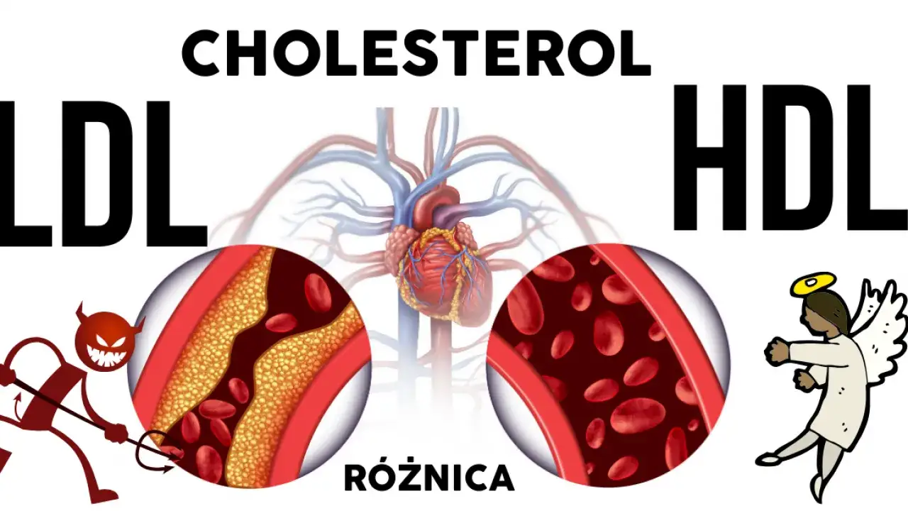zdrowe i chore naczynia krwionośne, r&oacute;żnica cholesterol HDL LDL