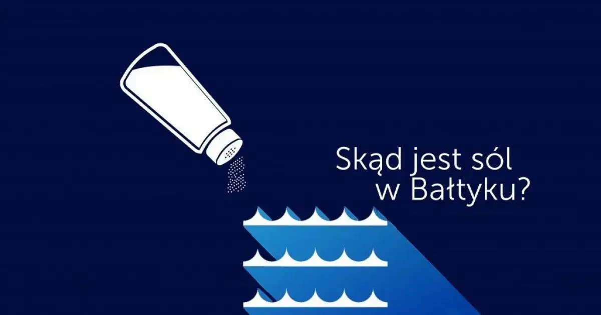 Zdjęcie Dlaczego Bałtyk jest słony? Odkryj tajemnice jego zasolenia