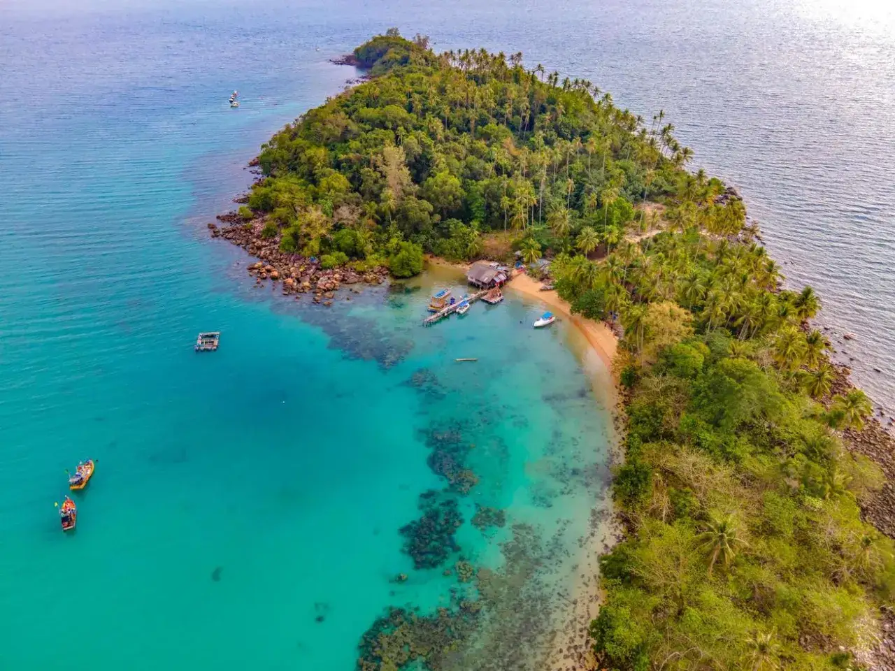 Rajska wyspa Ko Phi Phi z palmami, piaszczystą plażą i turkusową wodą.