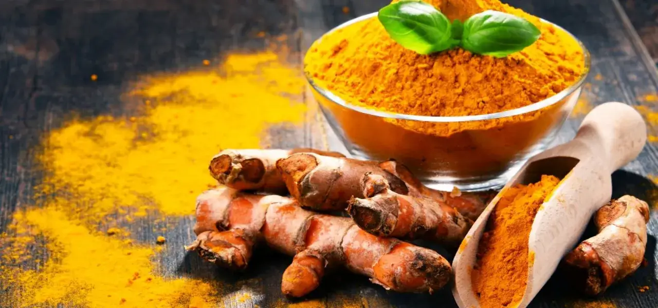 Korzeń i proszek kurkumy, idealne do przyprawiania potraw, barwienia i jako naturalny suplement. Kurkuma do czego? Do zdrowia i smaku!