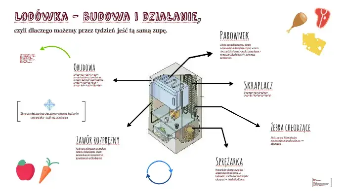 Budowa lod&oacute;wki schemat