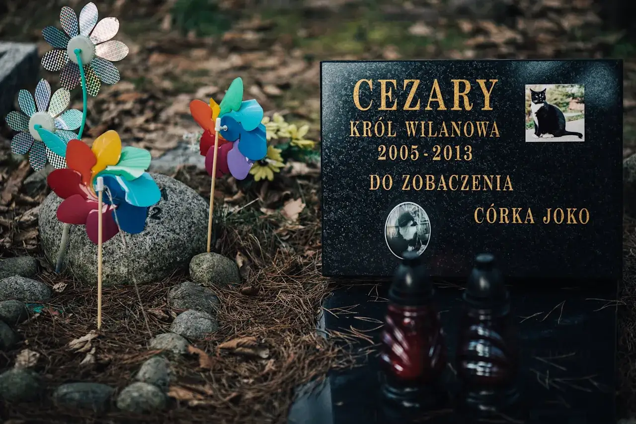 cmentarz dla zwierząt warszawa