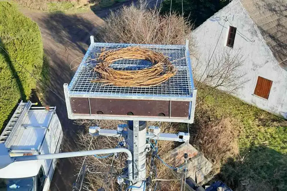 R&oacute;żne typy platform gniazdowych dla bocian&oacute;w na słupach i dachach