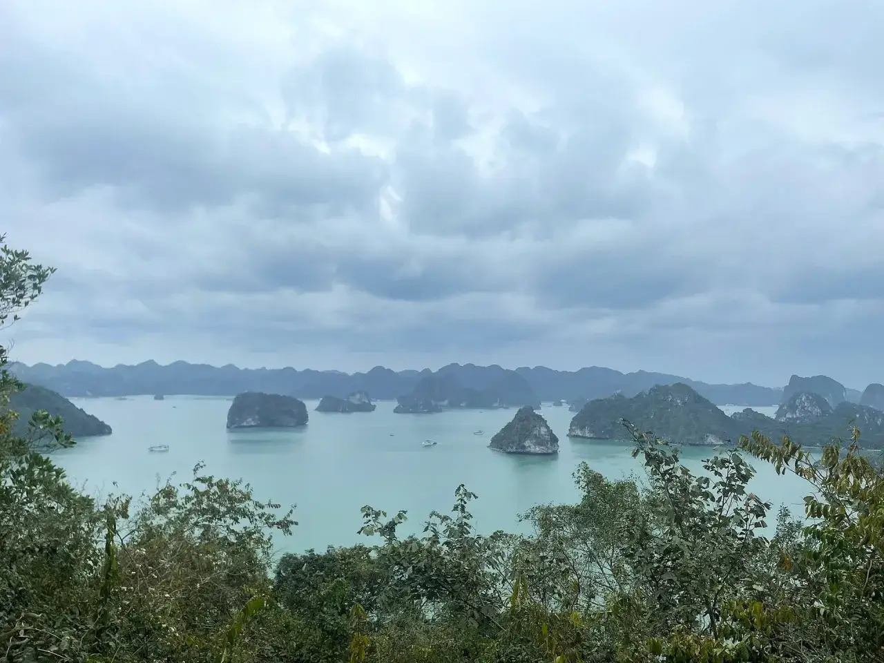Widok na Zatokę Ha Long, gdzie zielone wyspy wyrastają z turkusowej wody. Marzysz o takiej podróży? Sprawdź, ile kosztuje wycieczka do Wietnamu!