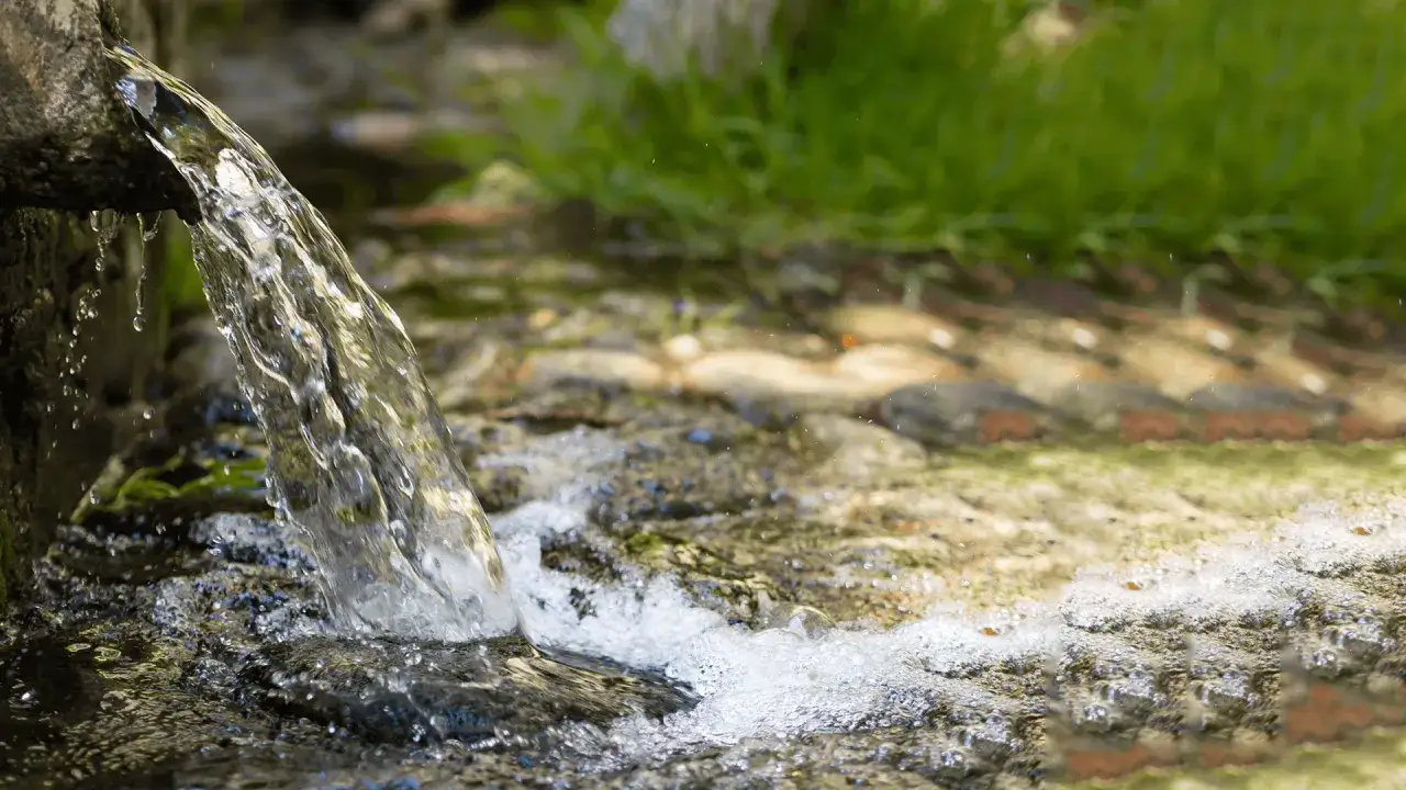 Czysta woda w naturze