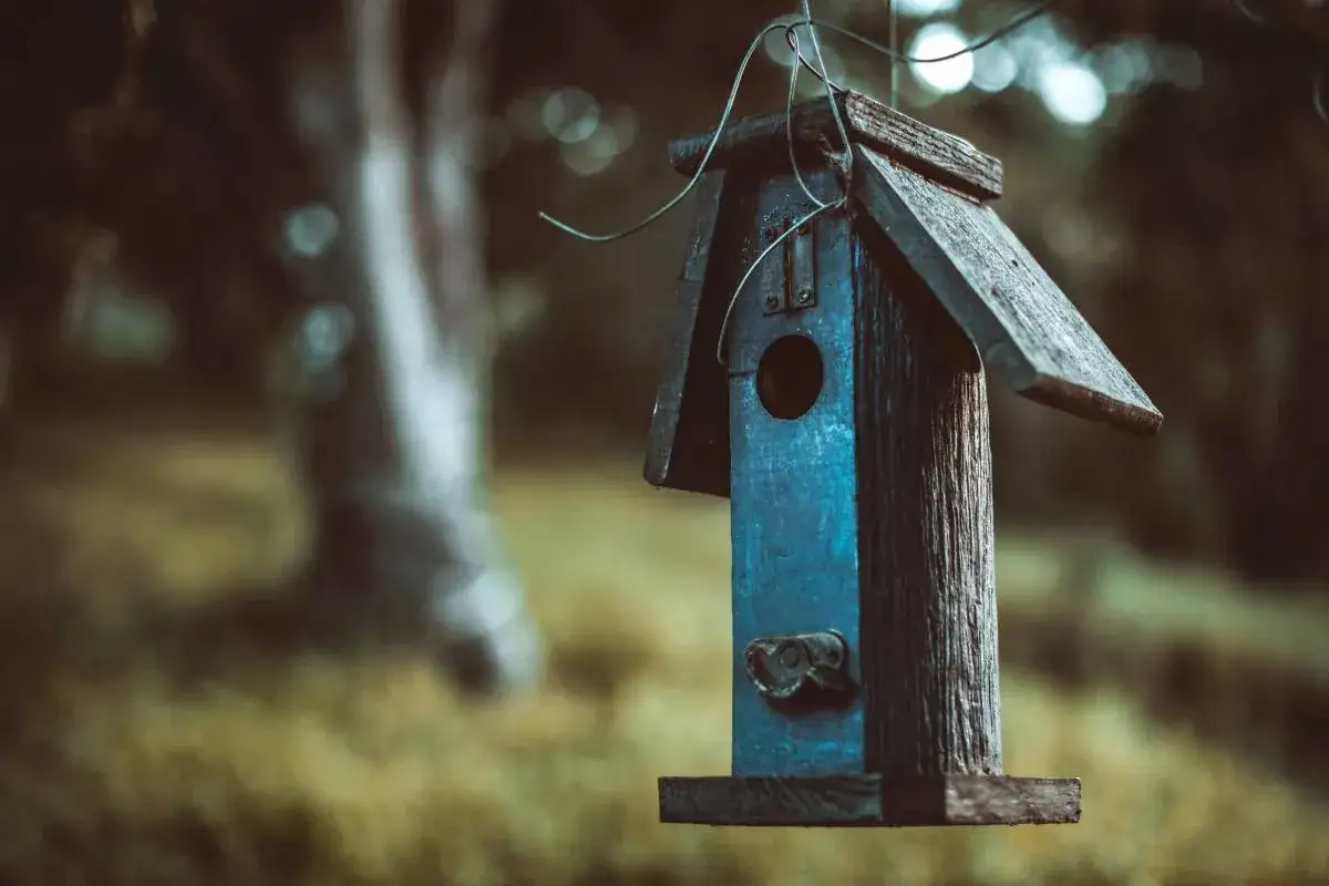 kalendarz czyszczenia budek lęgowych