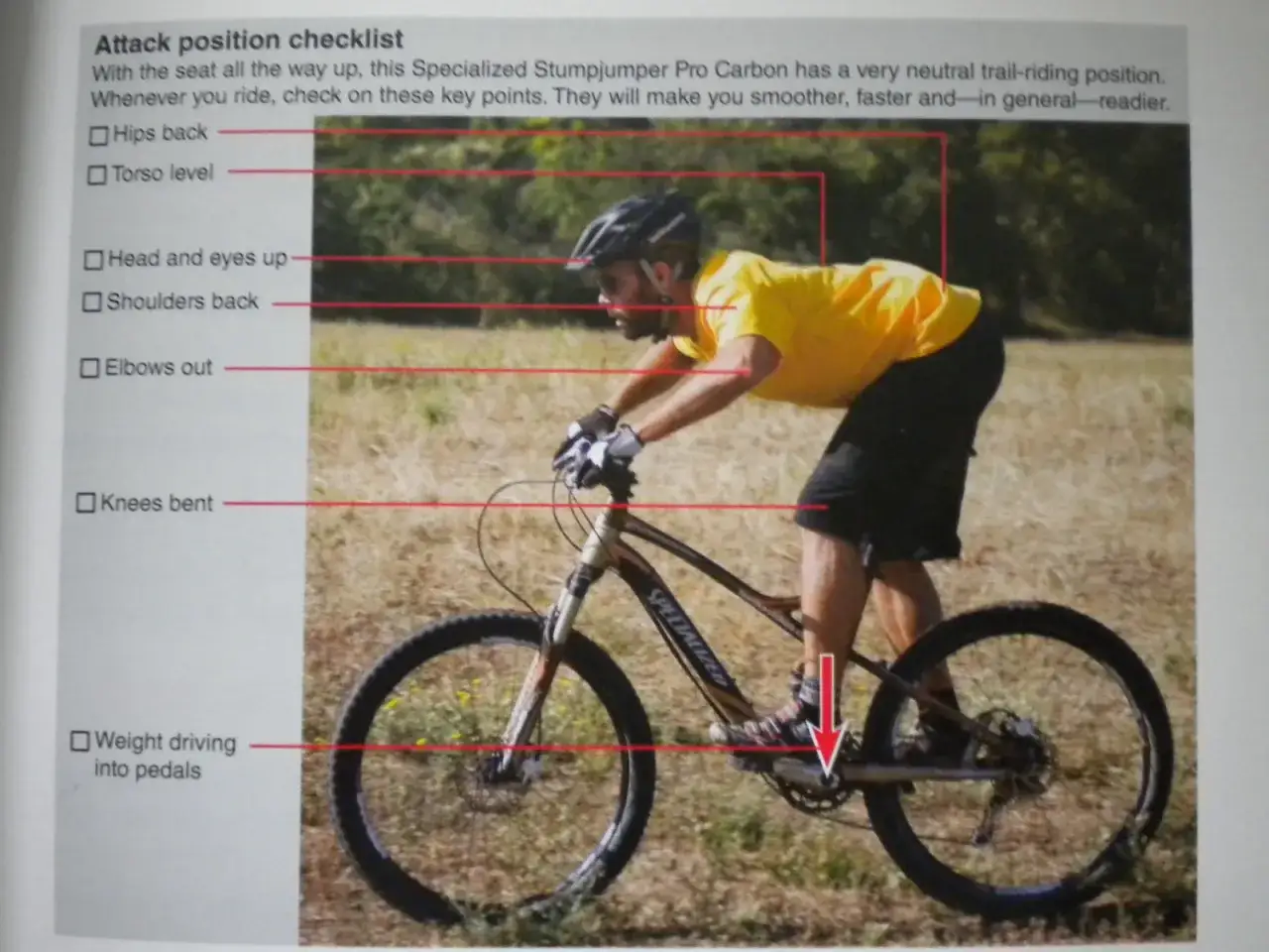 Prawidłowa pozycja na rowerze MTB: klatka piersiowa lekko pochylona, łokcie zgięte, kolana ugięte, ciężar ciała na pedałach.