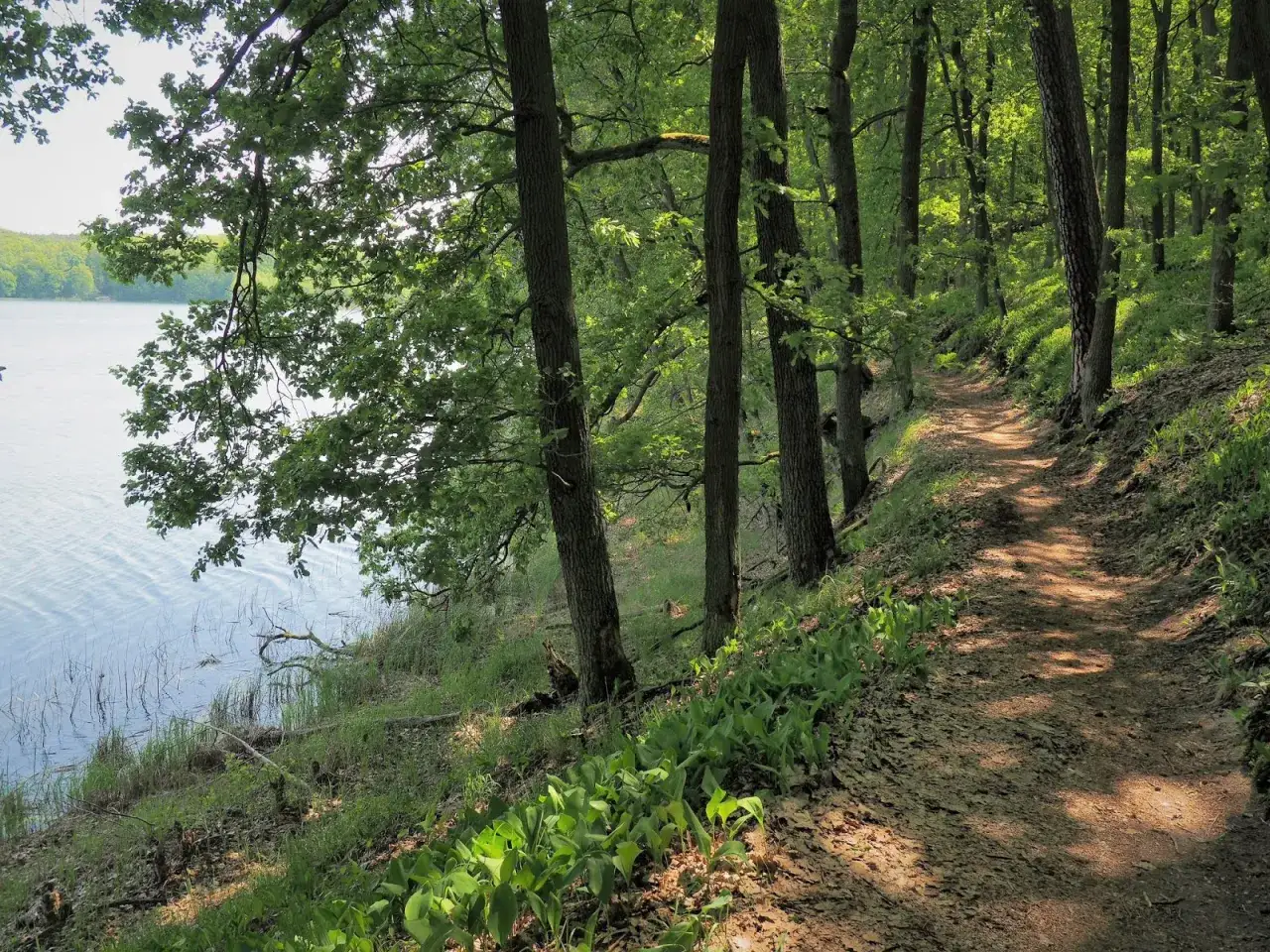 Wielkopolski Park Narodowy dzieci na szlaku