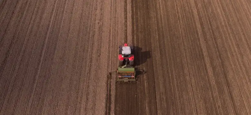 Zdjęcie Ile siać pszenżyta na hektar, aby uniknąć niskich plonów?