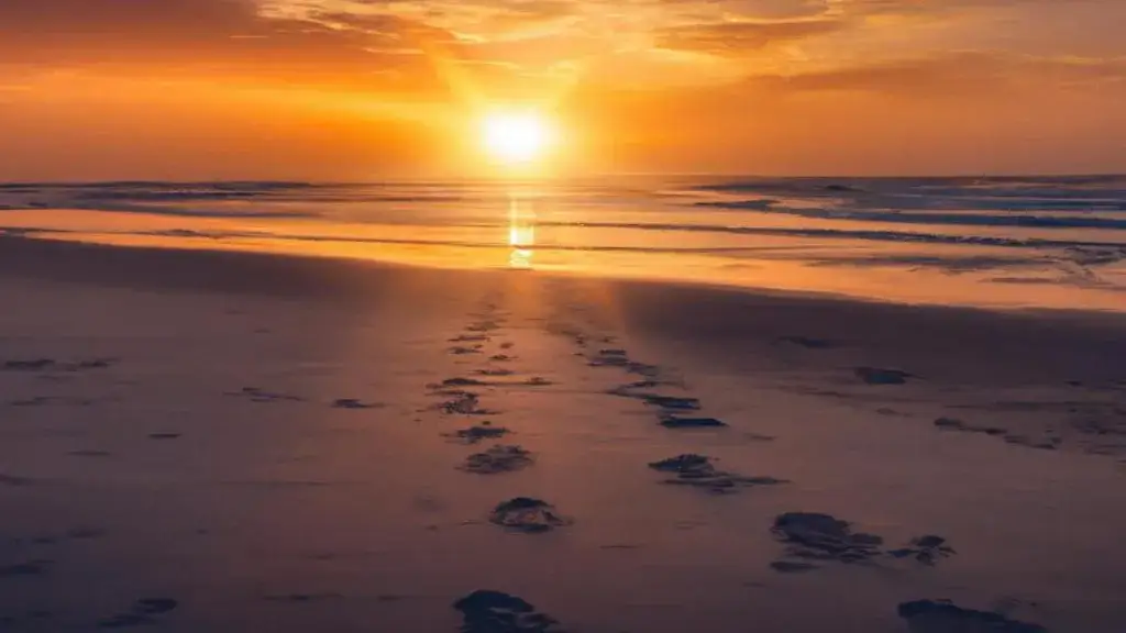 Zdjęcie Tekst piosenki czekam na wiatr co rozgoni - odkryj emocje i znaczenie