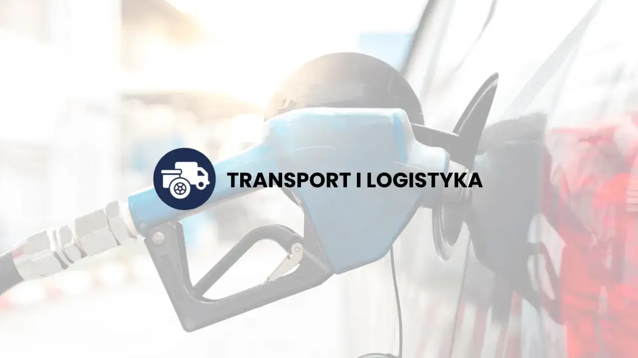 Zdjęcie Ile zarabia logistyk po studiach? Zaskakujące fakty o wynagrodzeniach