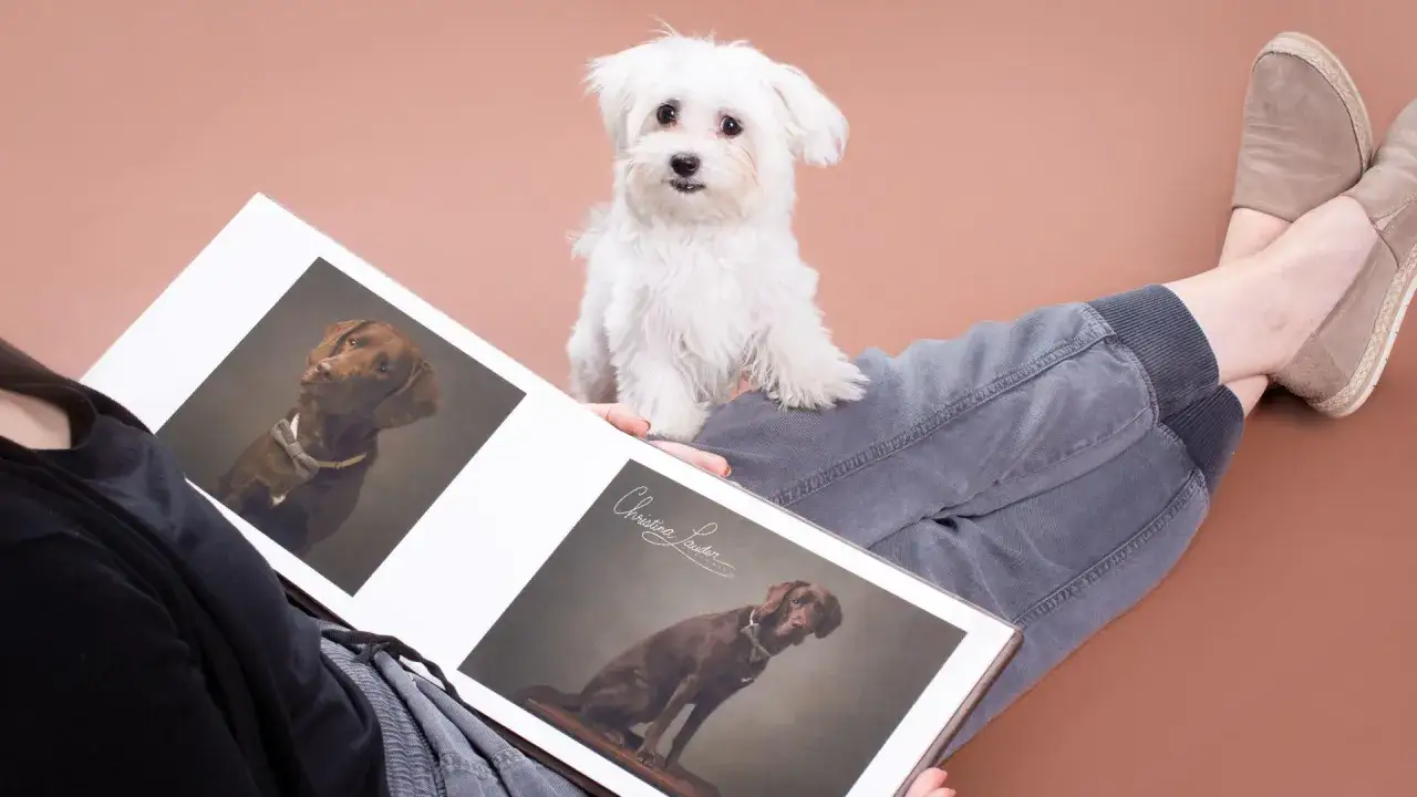 Zdjęcie Ile zarabia fotograf zwierzęcy? Zaskakujące fakty o wynagrodzeniu