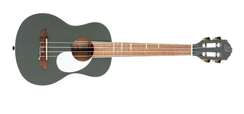 Zdjęcie Ukulele dla leworęcznych: Kluczowe różnice i wybór najlepszego modelu.