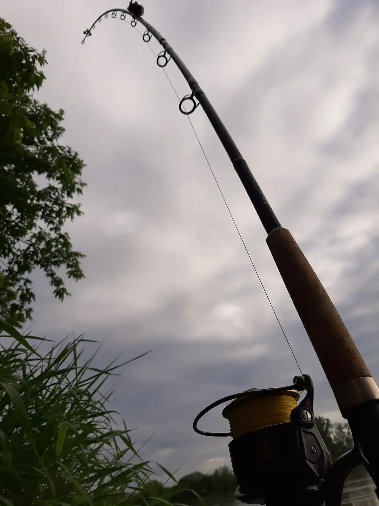 Zdjęcie Jaką wędkę na suma z brzegu wybrać, aby nie przegapić ryby?