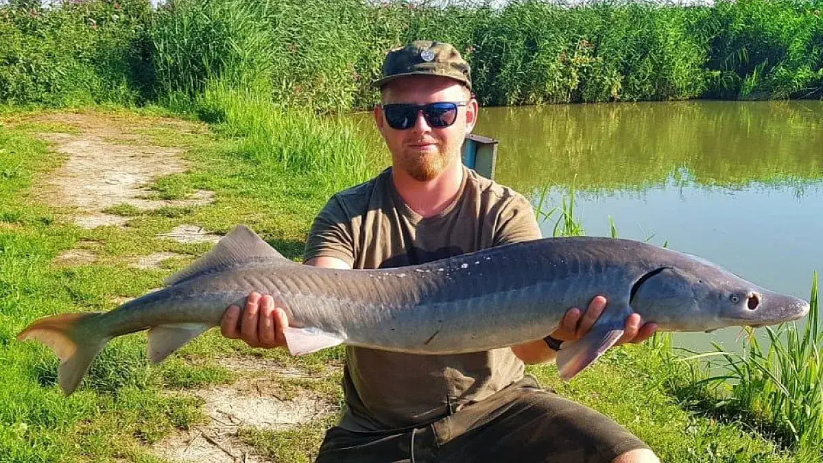 Zdjęcie Łowisko Owczarnia - najlepsze miejsca na wędkowanie w Małopolsce