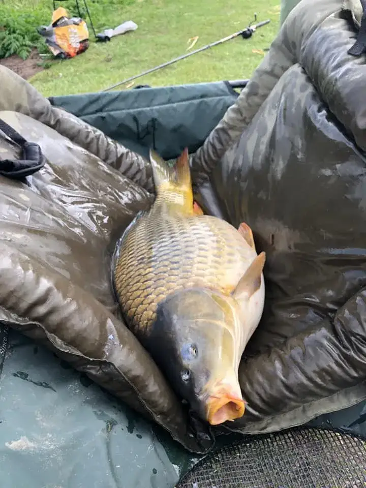 Zdjęcie Łowisko Wapnica: Jak uniknąć błędów podczas wędkowania i cieszyć się sukcesem