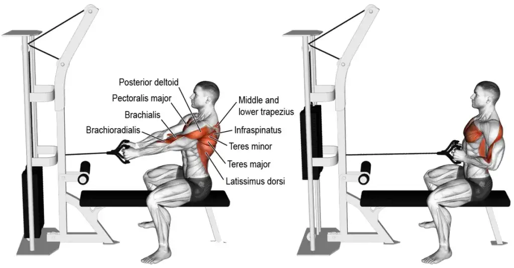 Zdjęcie Jak wykonać wiosłowanie na maszynie na plecy: technika i skuteczny trening