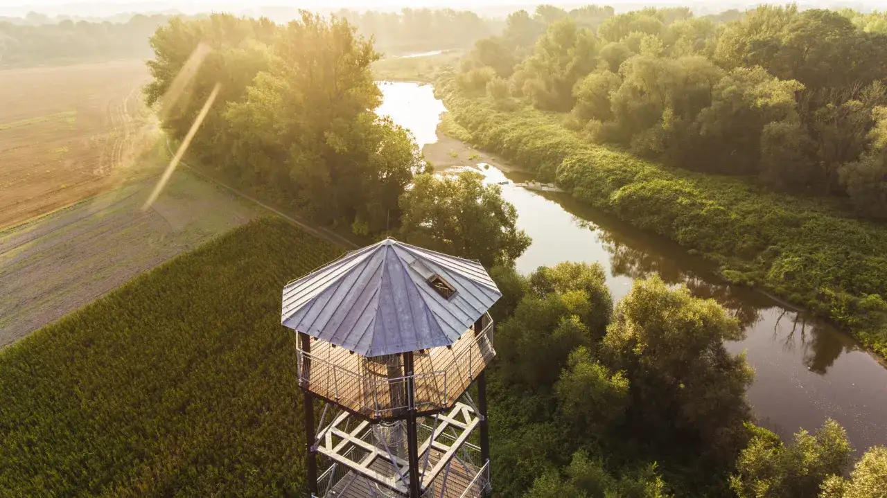 Graniczne Meandry Odry wieża widokowa Zabełk&oacute;w