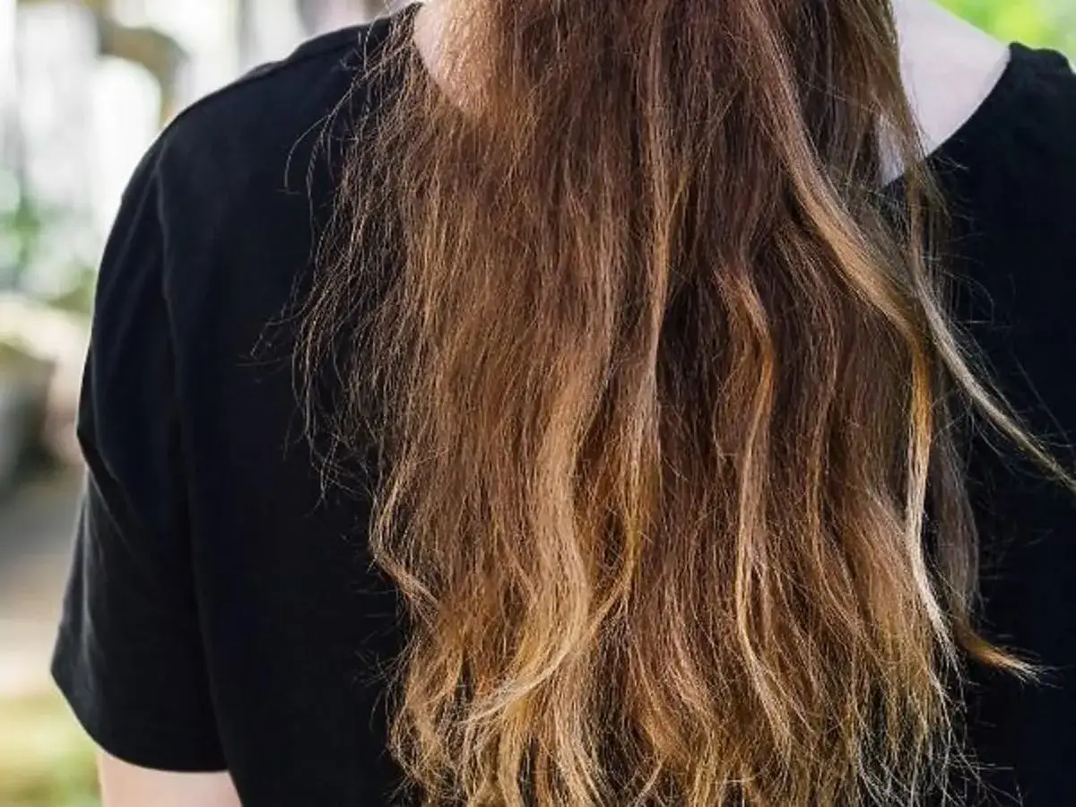 porowatość włos&oacute;w infografika