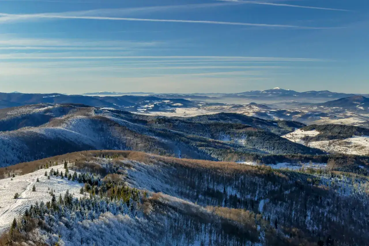 Zimowy krajobraz Beskidu Sądeckiego widziany ze szczytu Mogielnicy. Śnieg pokrywa drzewa i zbocza, tworząc malowniczy widok.