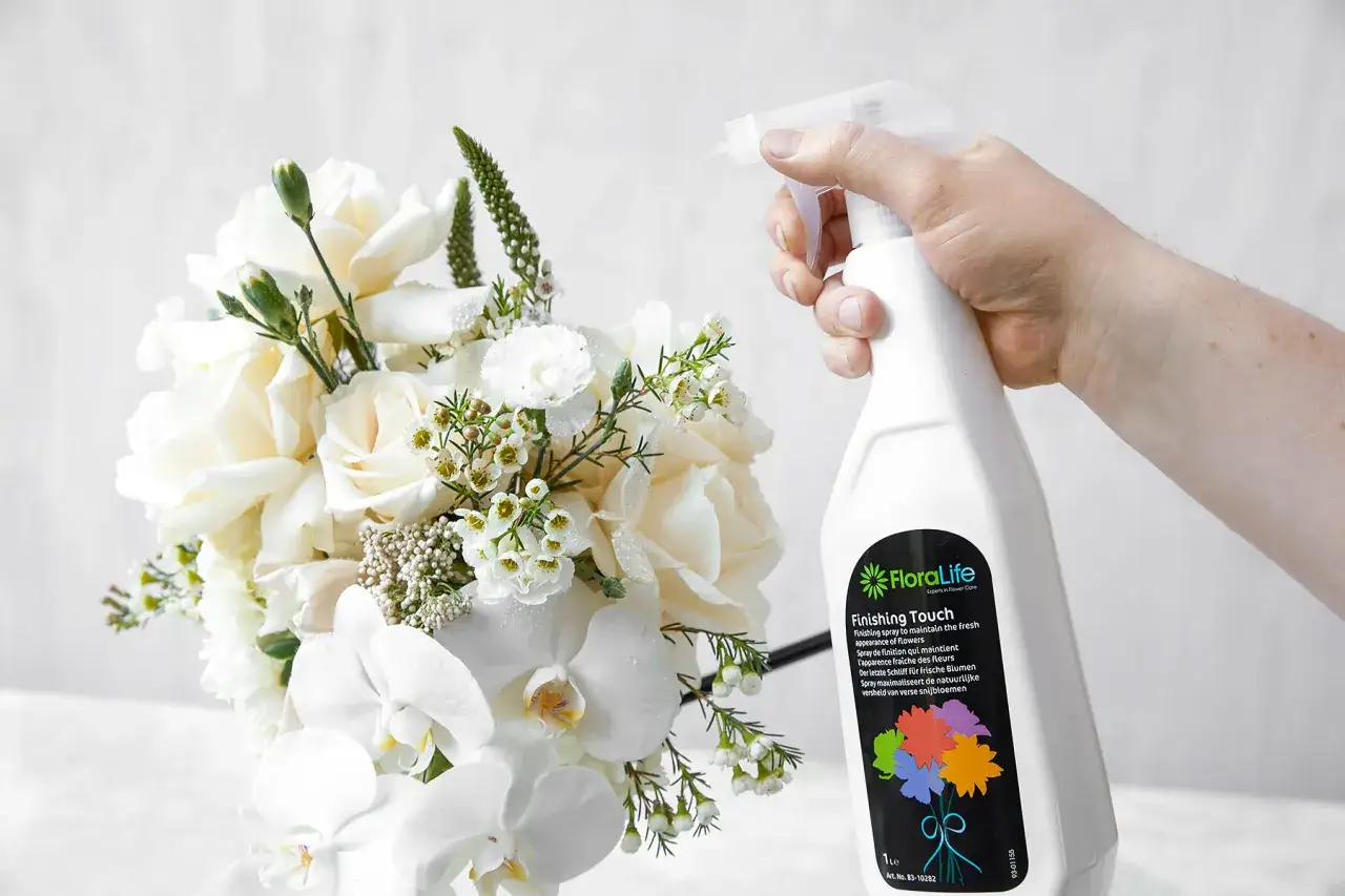 Biały bukiet kwiatów, na który pryska się sprayem. Zastanawiasz się, ile wytrzymają kwiaty bez wody?