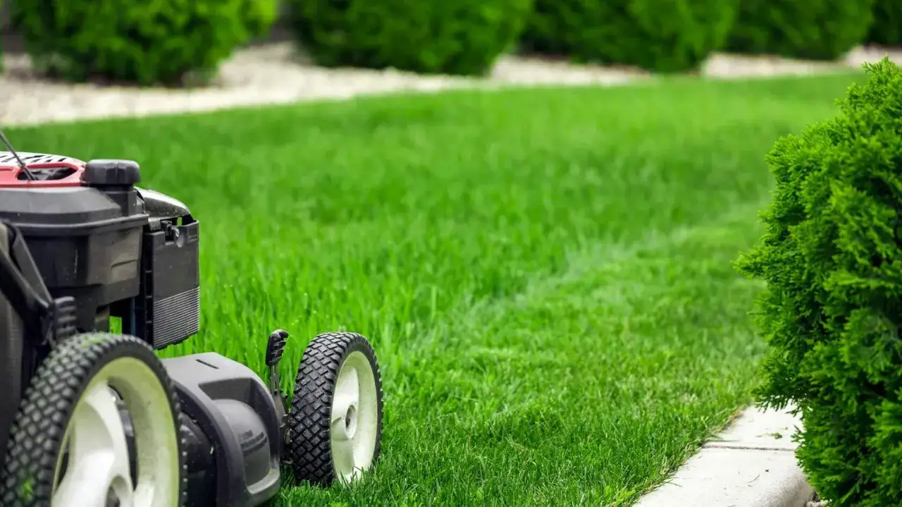 Kosiarka czeka, by pokazać, jak kosic trawe. Piękny, zielony trawnik i krzewy zapraszają do pracy.