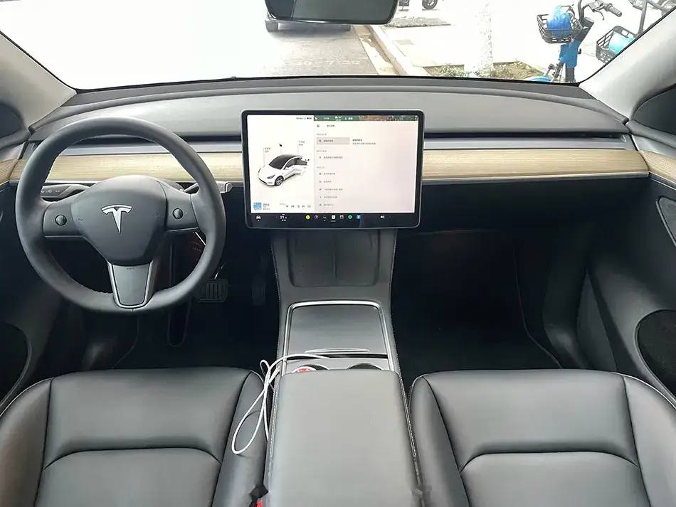 wnętrze tesla minimalistyczne ekran