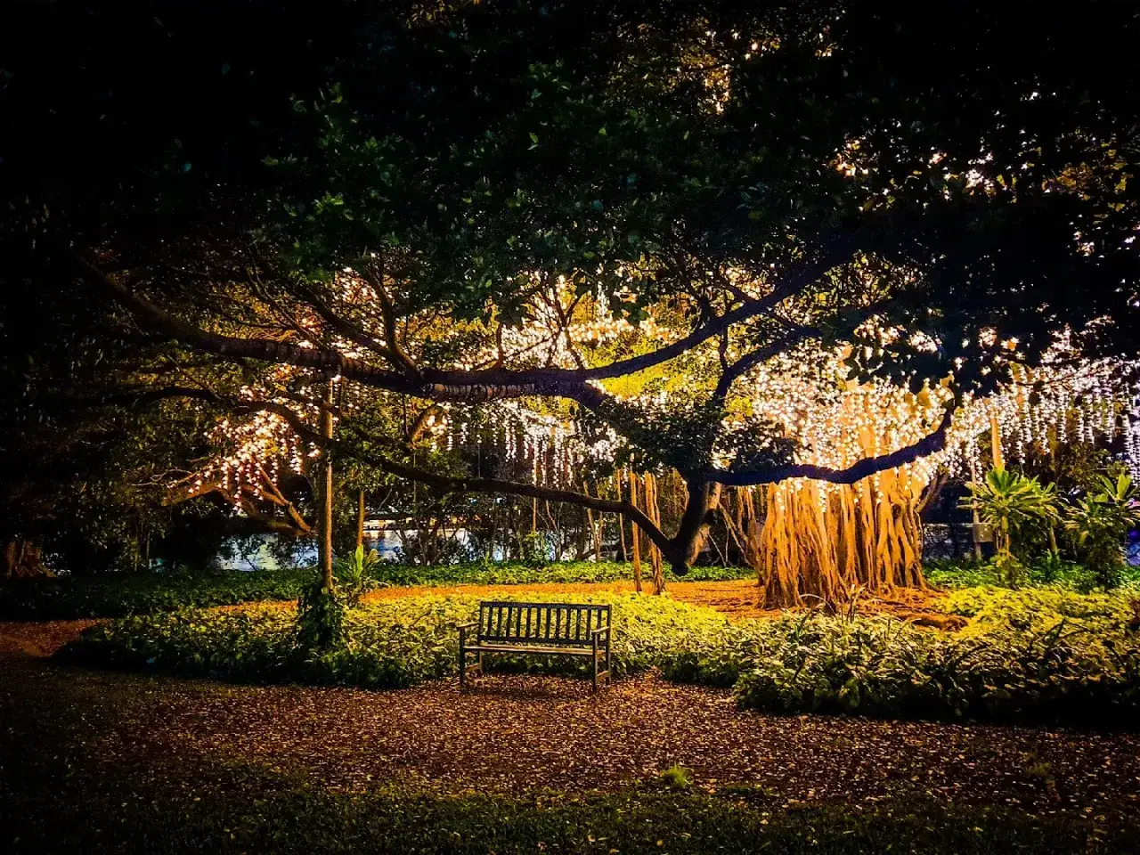 Magiczne drzewo z wiszącymi lampkami tworzy bajkowy nastrój. Idealny pomysł na oświetlenie altany lub ogrodu.