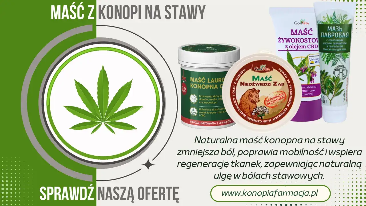 zastosowania maści konopnej na sk&oacute;rę i stawy