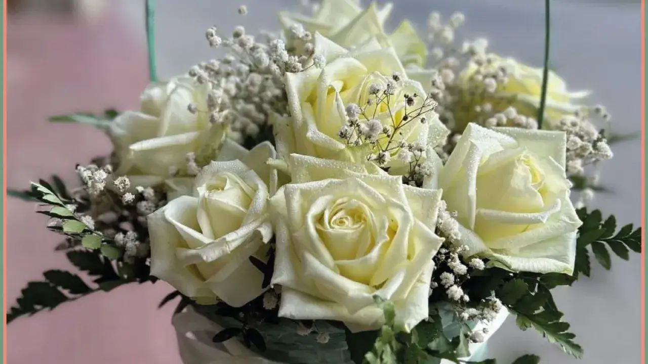 Białe r&oacute;że w bukiecie, symbolizujące czystość i niewinność. Co oznacza biała r&oacute;ża? To pytanie, na kt&oacute;re odpowiedź kryje się w delikatności płatk&oacute;w.