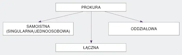 prokura samoistna a łączna schemat