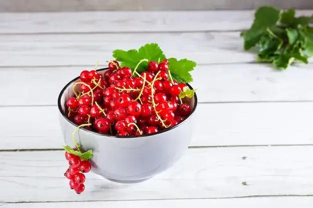 świeże czerwone porzeczki w misce