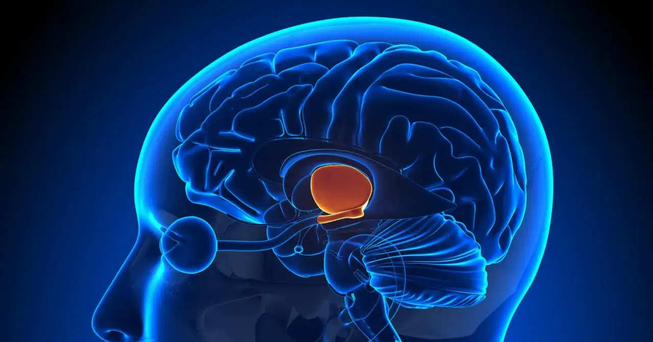 objawy wysokiej prolaktyny u mężczyzn