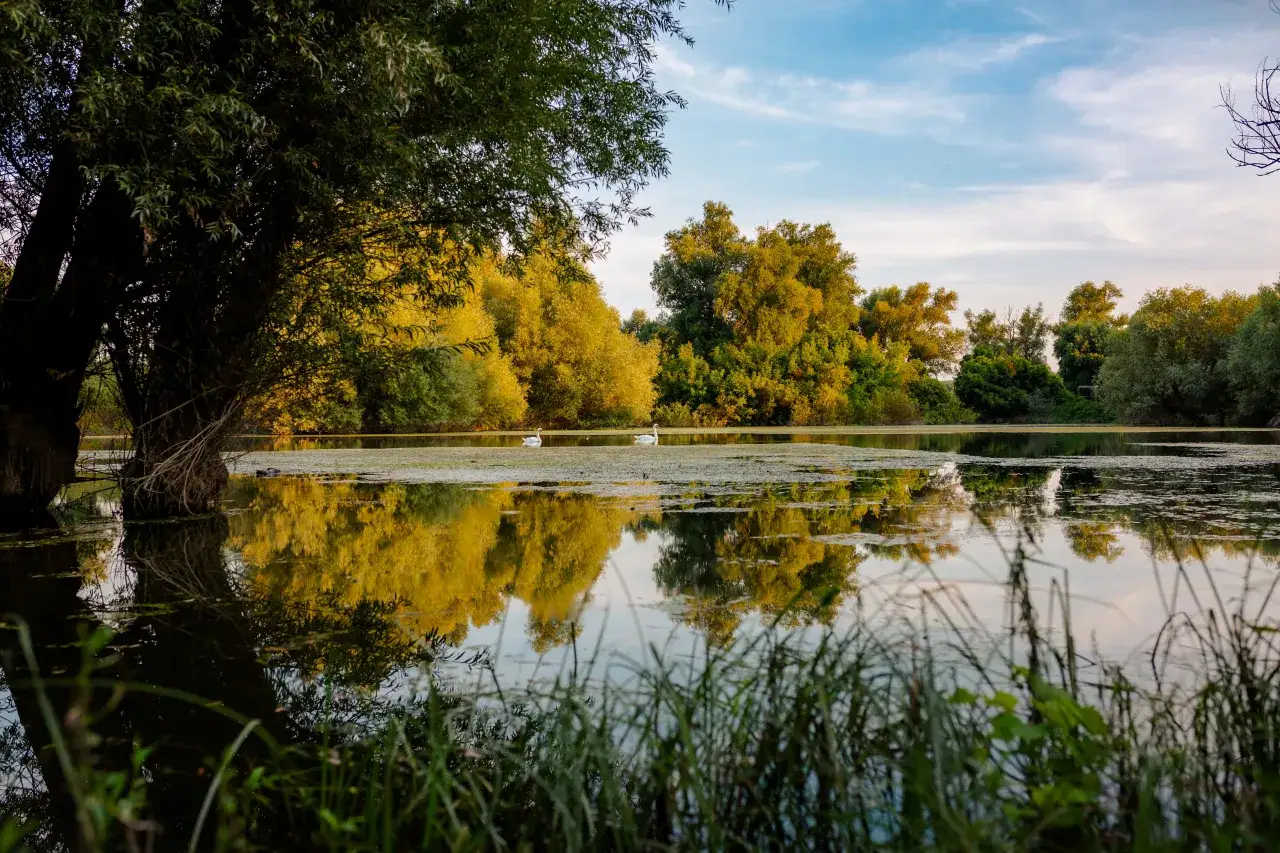 Spektakularne krajobrazy naturalne