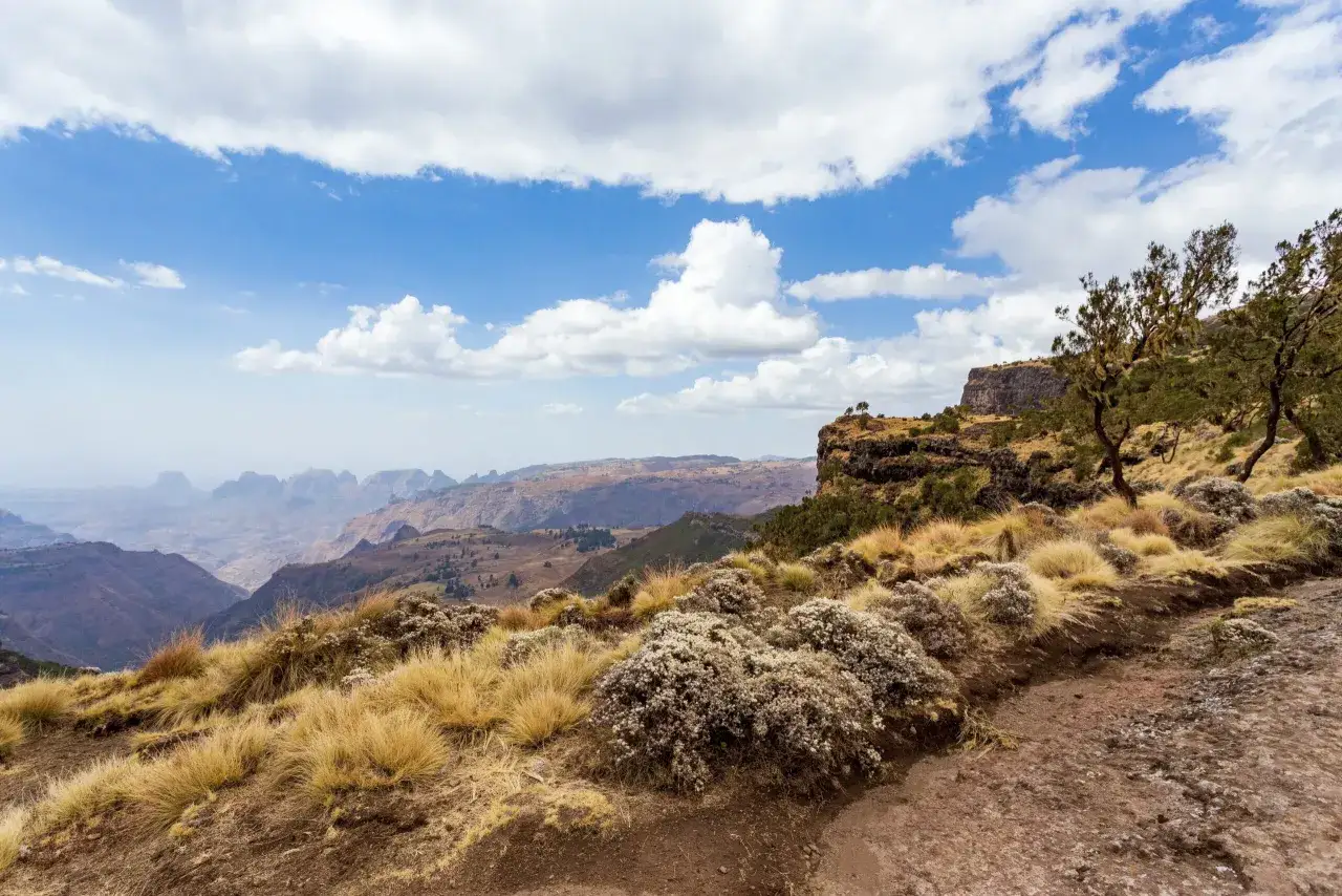 Majestatyczne klify i rozległe doliny w Etiopii. Widok zapiera dech w piersiach, ukazując dziką przyrodę i skalne formacje. Etiopia atrakcje to raj dla miłośników przygód.