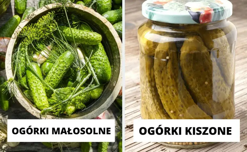 porównanie ogórek kiszony świeży małosolny