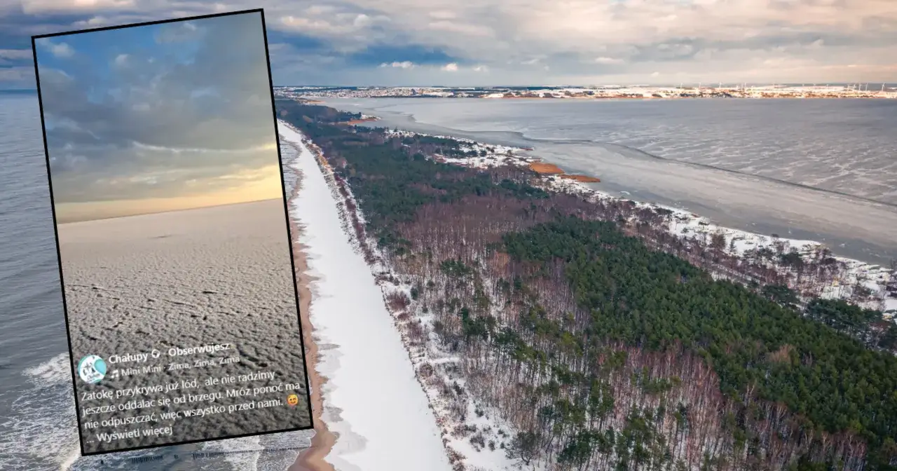 Zamarznięta Zatoka Pucka, z lodem przy brzegu i lasem sosnowym. Kiedy ostatni raz zamarzł Bałtyk? To widok, który przypomina o zimie.