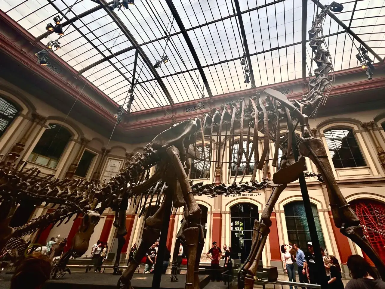 Szkielet dinozaura w muzeum w Berlinie, pod szklanym dachem. Zwiedzający podziwiają prehistoryczne zwierzę.