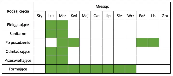 kalendarz cięcia piwonii