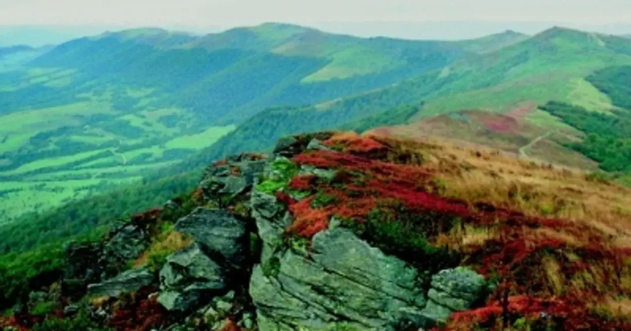 Malownicze połoniny Bieszczad&oacute;w, z zielonymi dolinami i skalistymi szczytami, rozciągają się aż po horyzont. Widok zapiera dech w piersiach, przypominając o dzikim pięknie pogranicza polsko-ukraińskiego.